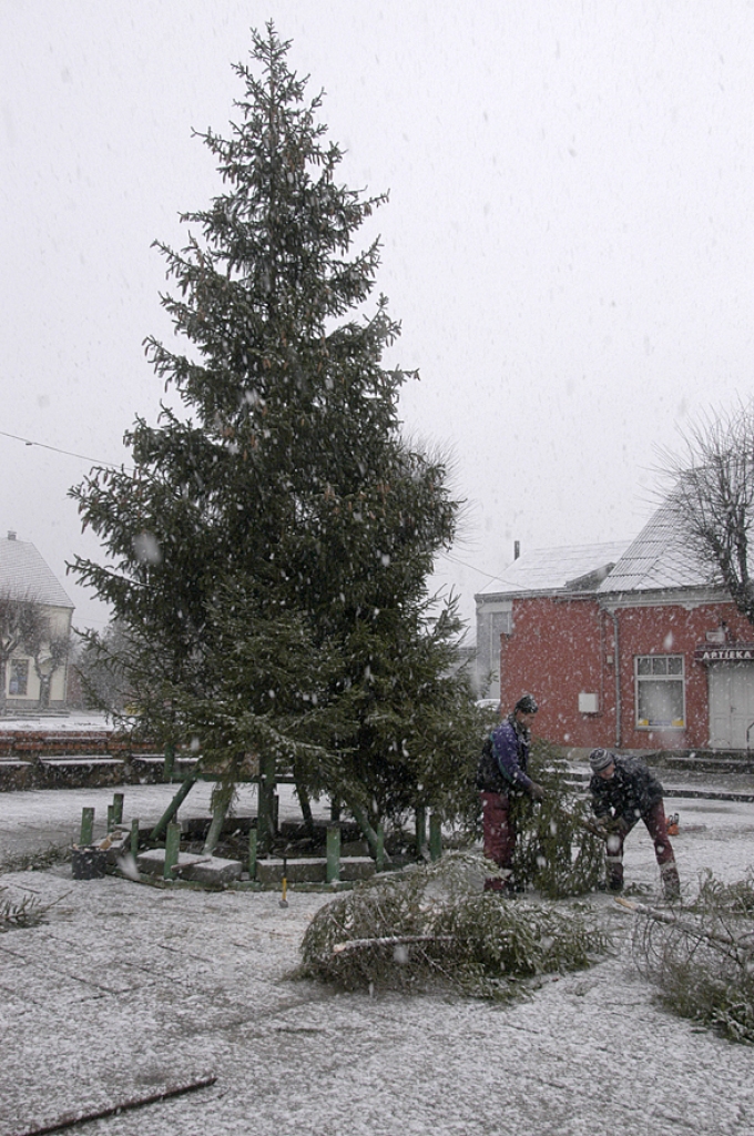 SIA «Vides serviss» strādnieku uzstādīto egli Bauskas Rātslaukumā vakar, 27. novembrī, pirmās izrotāja sniegpārsliņas.
Autors: Ivars Bogdanovs