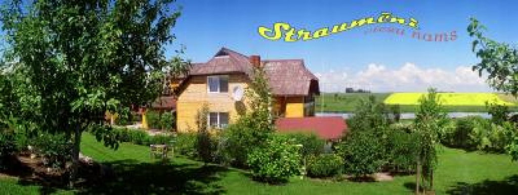 Aluksniesiem.lv raksta attēla aizvietotājs