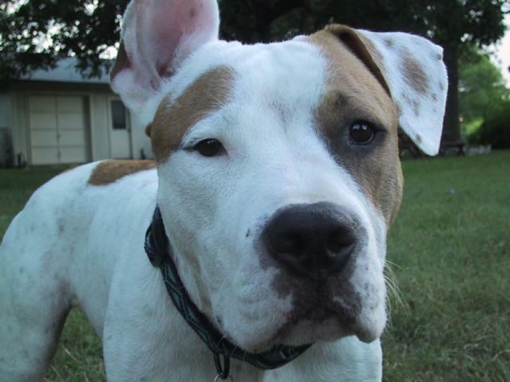 Fotoattēlam ilustratīva nozīme.