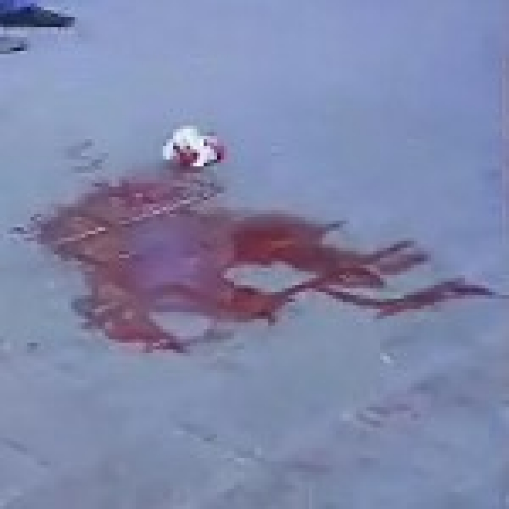 Fotoattēlam ilustratīva nozīme.