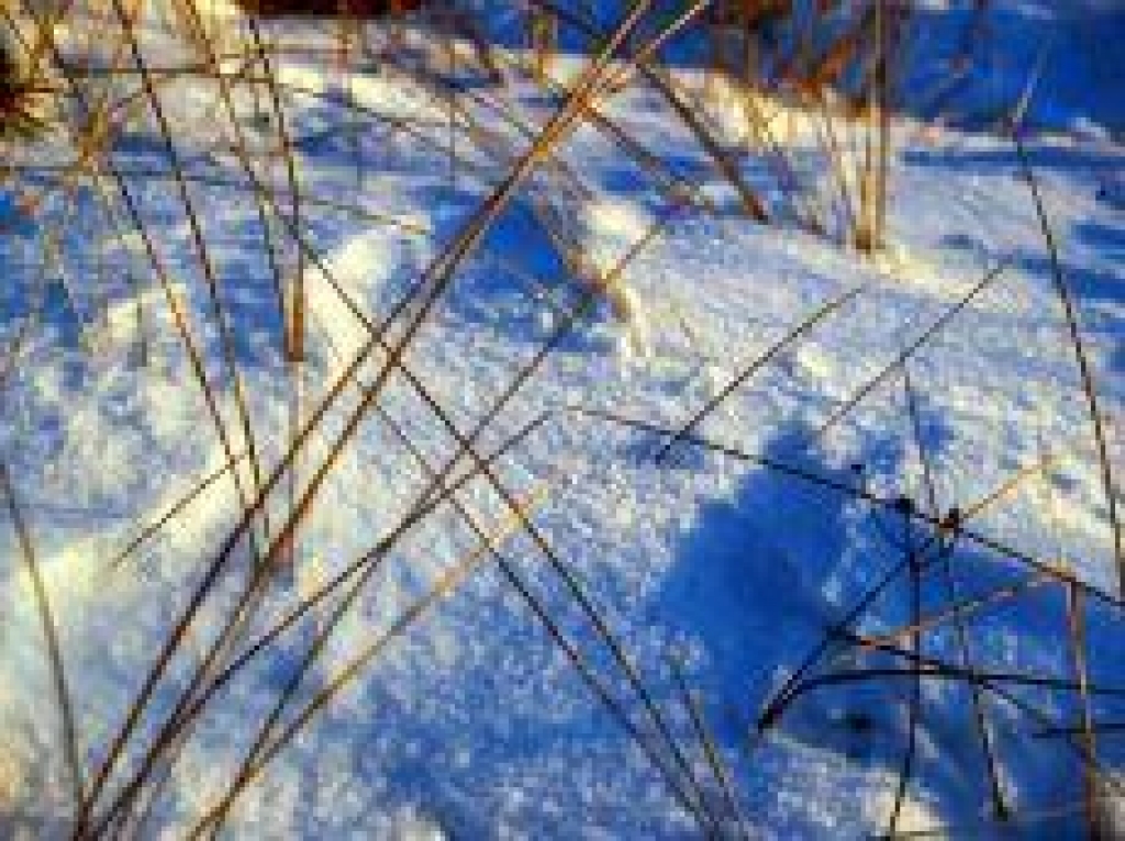 Auksts periods gaidāms mēneša vidū.