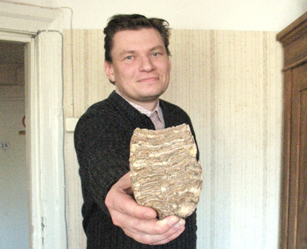 Mamuta zobu fragmenti, kas glabājas Bauskas novadpētniecības un mākslas muzeja krājumā, ir nokļuvuši paleontologu uzmanības lokā. 
Autors: No arhīva