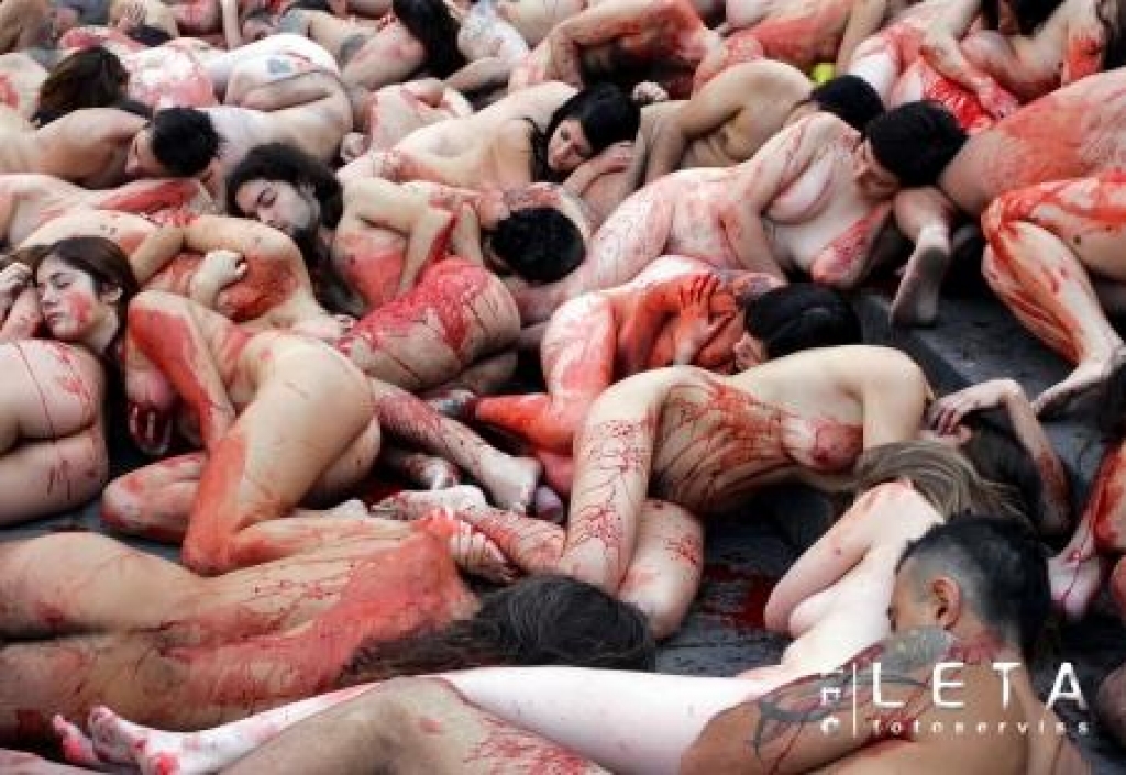 27.01.2008. Kaili dzīvnieku aizsardzības organizācijas 