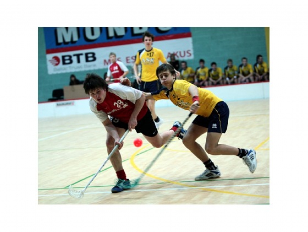 Autors: www.ogresvestis.lv