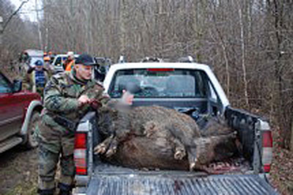 Edgars Piķelis 23. decembrī aplūko nomedīto prāvo mežakuili.
Autors: No albuma.