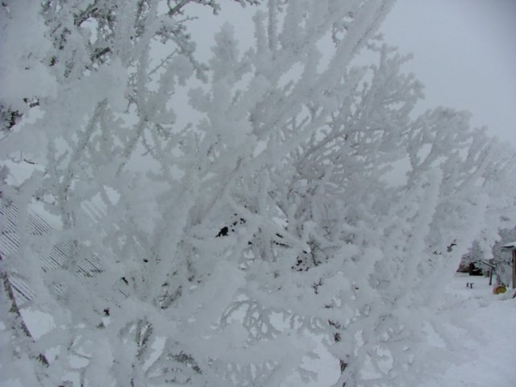 Fotoattēlam ilustratīva nozīme.