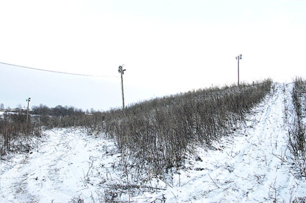 «Bauskas Dzīve» 3. janvārī pārliecinājās, ka Mūsas kreisajā krastā Dirdu kalnā savulaik izveidoto mākslīgo slēpotāju nobraucienu trasi šajā sezonā izmantot nevarēs. 
Autors: Ivars Bogdanovs