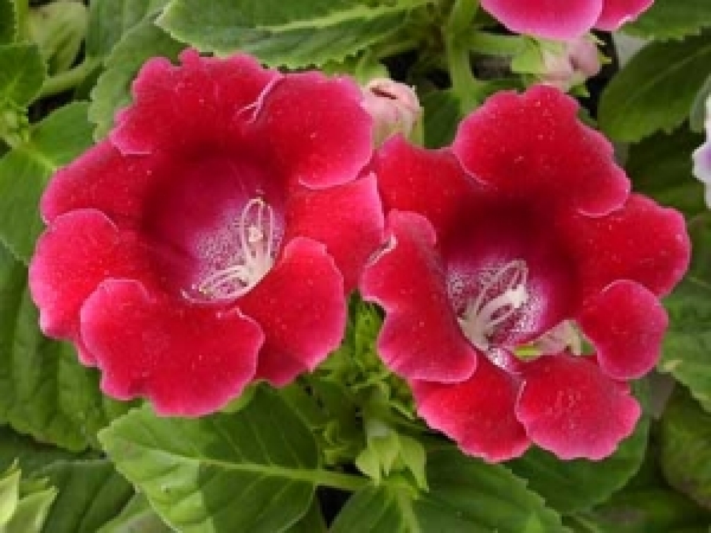 Fotoattēlam ilustratīva nozīme.
Autors: www.apollo.lv