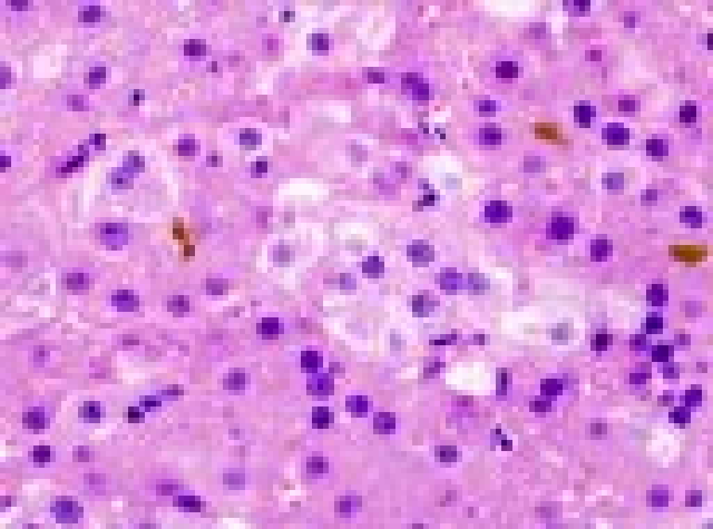 Fotoattēlam ilustratīva nozīme.