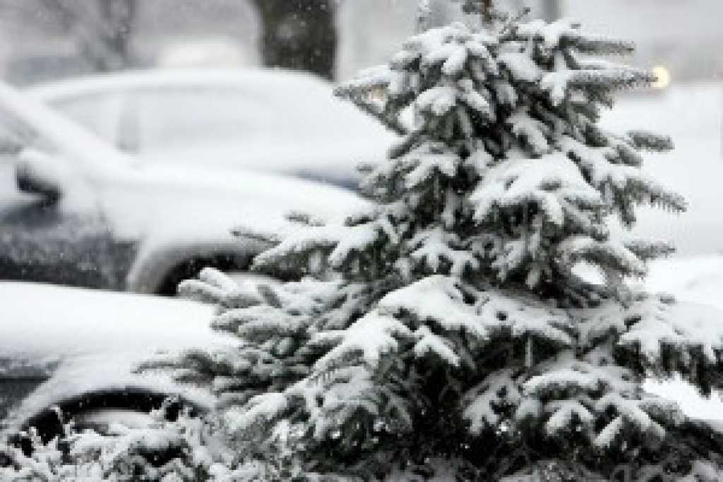 Fotoattēlam ilustratīva nozīme.