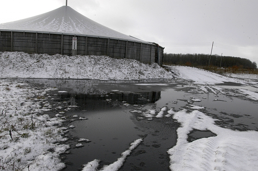 Pie Skalderu cūkkopības kompleksa baltajā sniegā bija labi saredzama izplūdusi virca. 
Autors: Ivars Bogdanovs