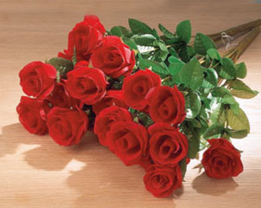 Autors: www.select.no