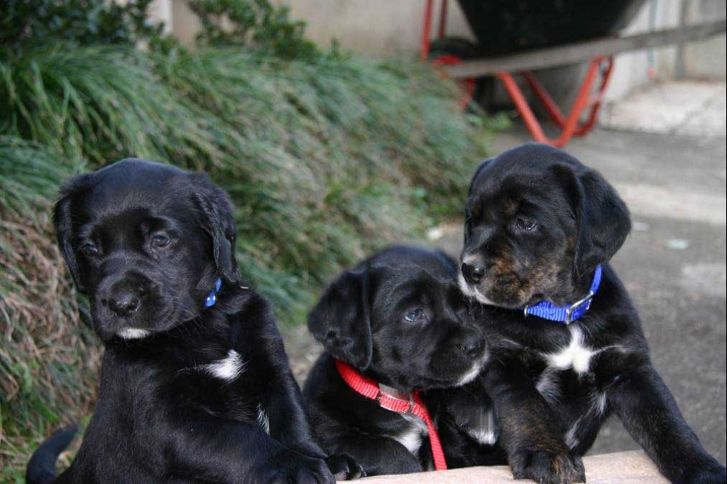 Fotoattēlam informatīva nozīme.