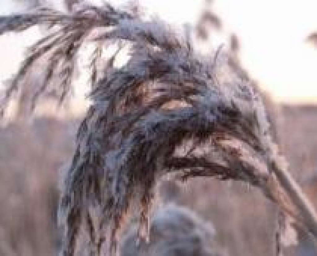 Fotoattēlam ilustratīva nozīme.
Autors: www.postfactum.lv