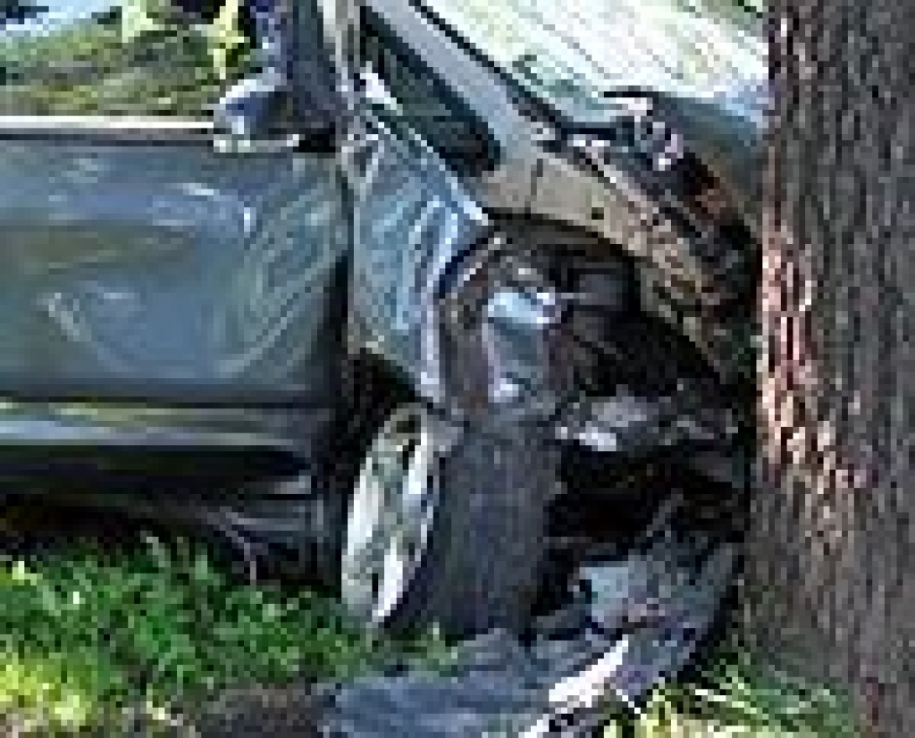 Attēlam ir ilustratīva nozīme.
Autors: www.liepajniekiem.lv