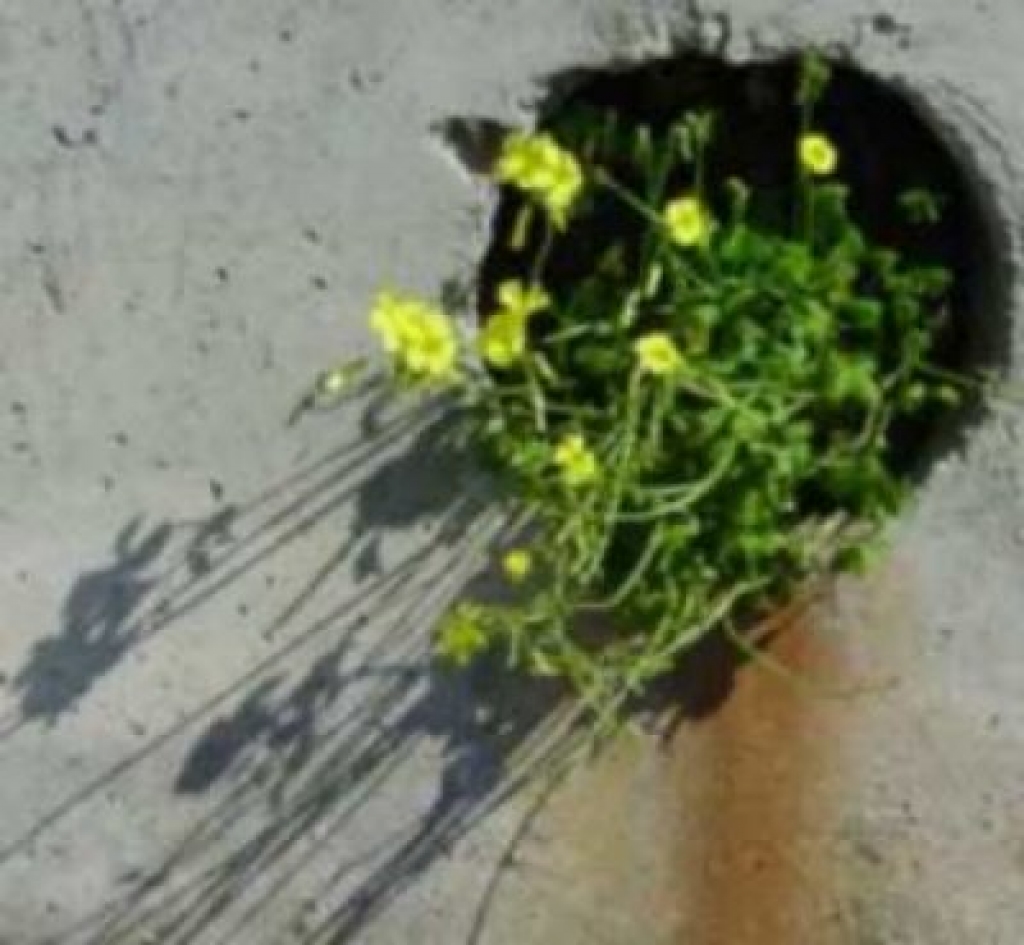 Fotoattēlam ilustratīva nozīme.