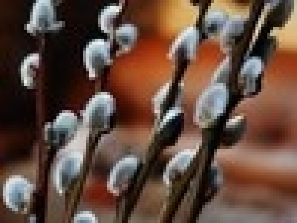 Fotoattēlam ilustratīva nozīme.