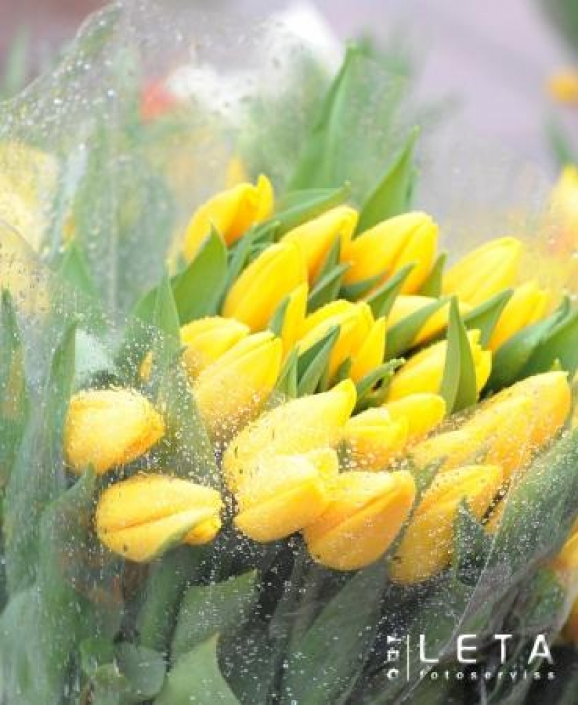 08.03.2008. Starptautiskajā sieviešu dienā 