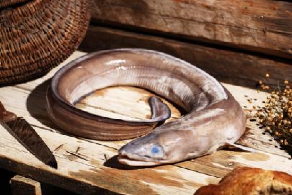 Attēlam ir ilustratīva nozīme.
Autors: www.iki.lt