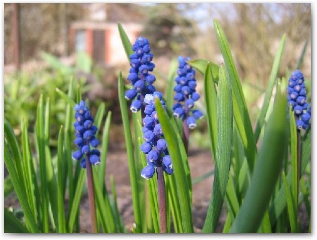 Fotoattēlam ilustratīva nozīme.
Autors: www.meteo.lv