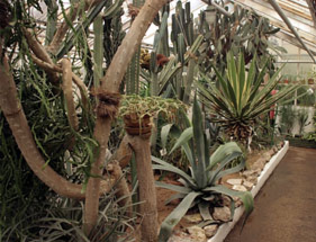 LU Botāniskais dārzs.
Autors: www.videsvestis.lv