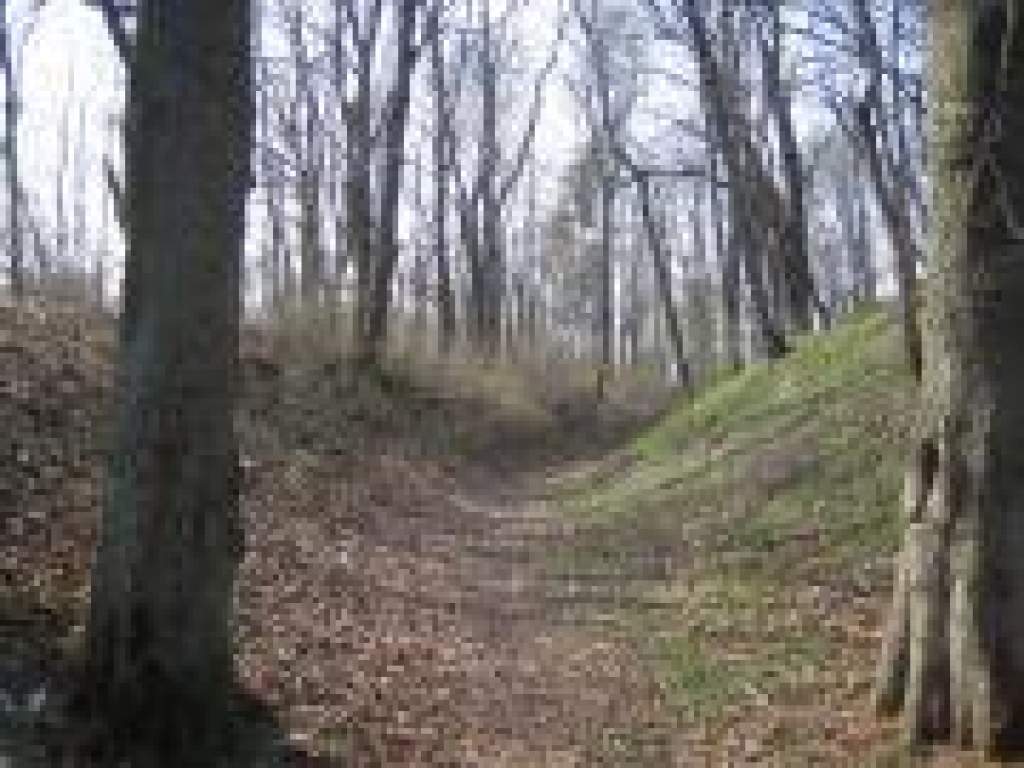 Mežotnes pilskalns
Autors: www.vietas.lv