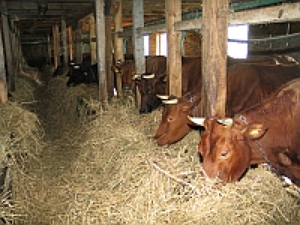 Fotoattēlam ilustratīva nozīme
Autors: www.talsuvestis.lv