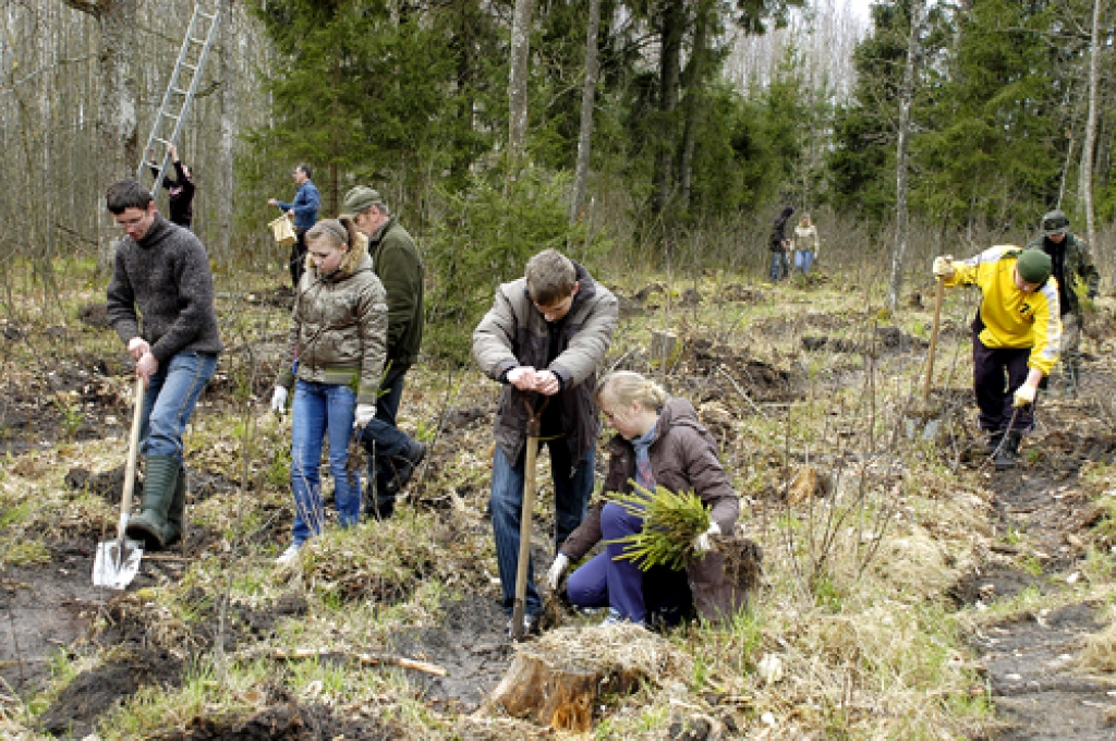 Skaiskalnes vidusskolas jaunieši mežsarga Jāņa Dombrovska un meža īpašnieka Aivara Kundziņa vadībā atjaunoja mežu un ieguva jaunu informāciju par tajā notiekošiem procesiem. 
Autors: Ivars Bogdanovs