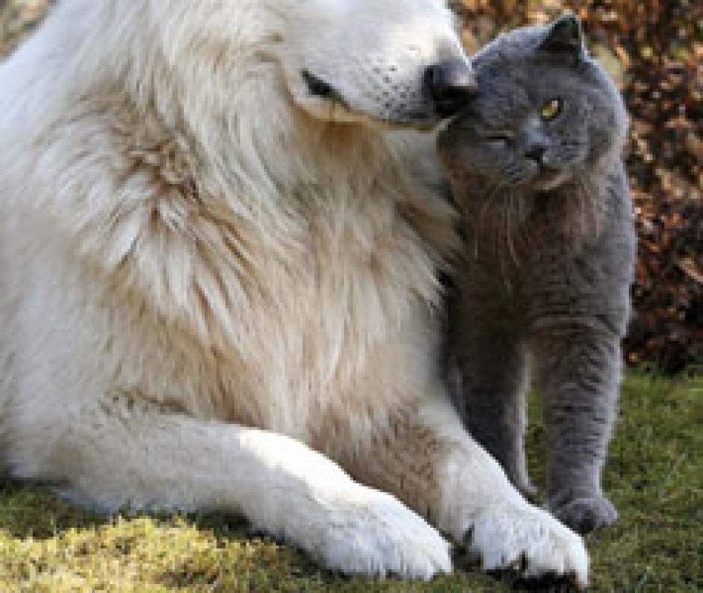 Fotoattēlam ilustratīva nozīme.
Autors: www.videsvestis.lv