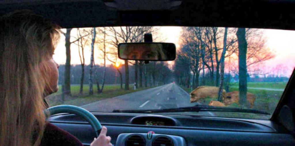 Fotoattēlam ilustratīva nozīme.
Autors: www.iauto.lv