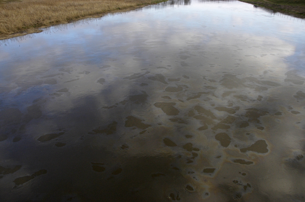 No tilta pie sporta kompleksa «Mūsa» Gailīšu pagastā redzams, ka upe divu trešdaļu platumā ir noklāta ar pleķiem varavīknes krāsās. Tas liecina par naftas produktu piesārņojumu. 
Autors: Ivars Bogdanovs