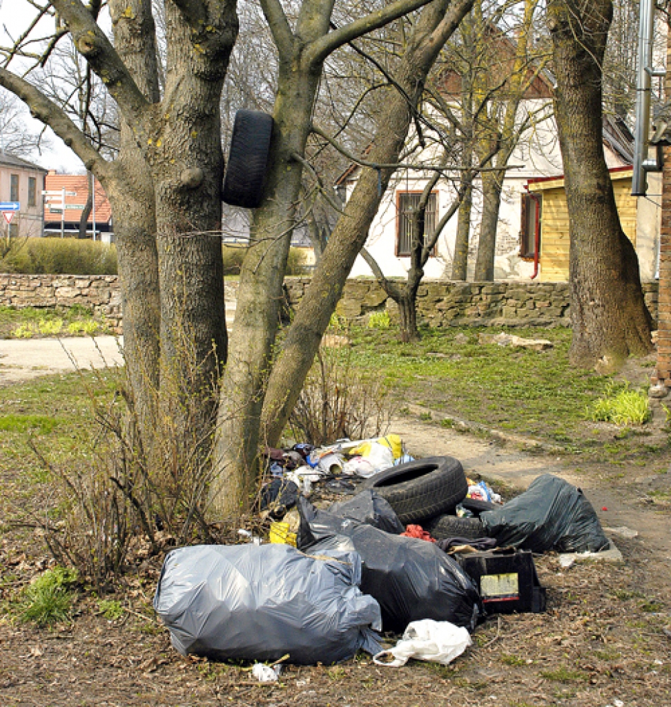 Patvaļīga atkritumu glabātava Rūpniecības ielas skvērā.
Autors: Ivars Bogdanovs