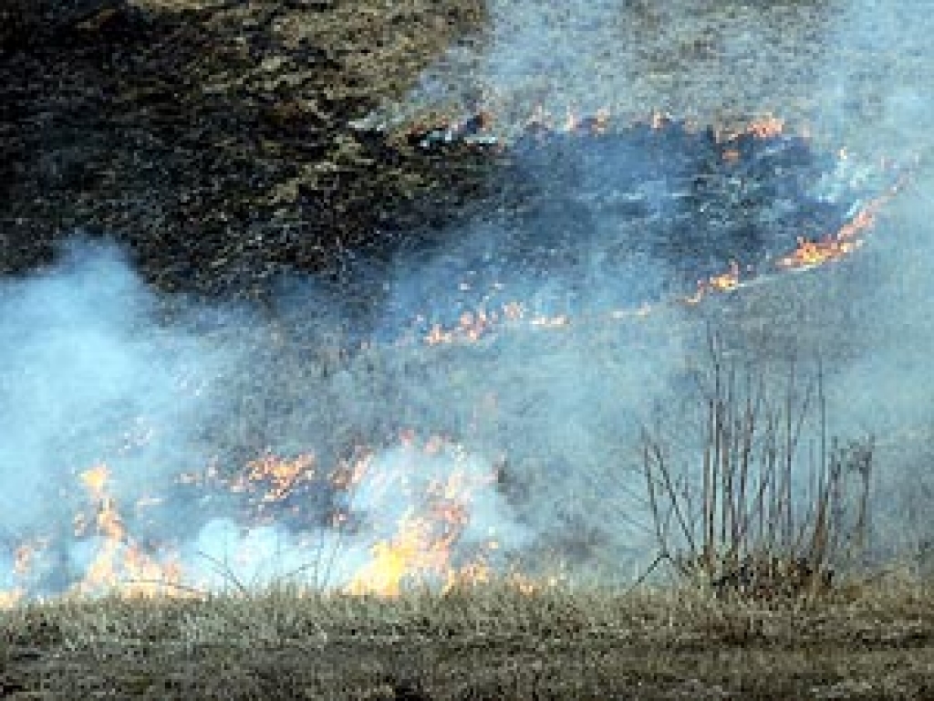 Pagājušajā diennaktī Bauskas rajonā viens kūlas degšanas gadījums, visā Latvijā – 48.
Autors: «Bauskas Dzīves» arhīvs