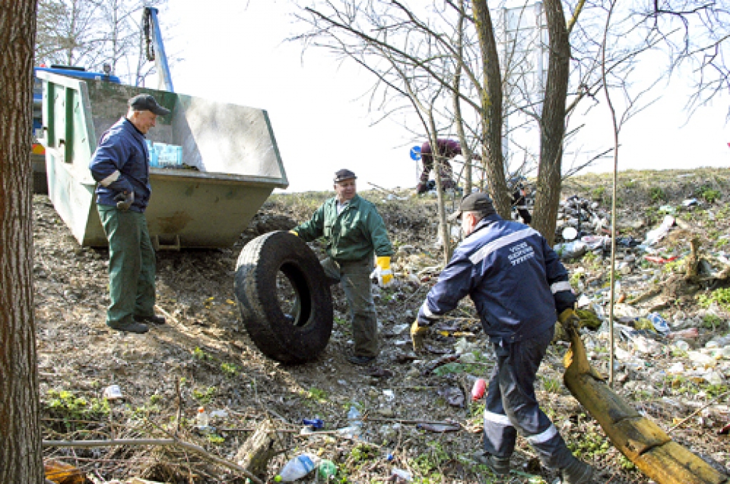 Ceļa A-7 malā, gravā pie pagrieziena uz «Grantiņu» izgāztuvi, ir milzums atkritumu. «Vides servisa» strādnieki tos savāks, laukumu norobežos, varbūt tad te būs lielāka kārtība.
Autors: Ivars Bogdanovs