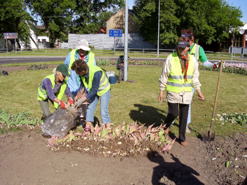 SIA «Vides serviss» strādnieces šajās dienās atjauno puķu dobes Bauskā.
Autors: Inga Muižniece