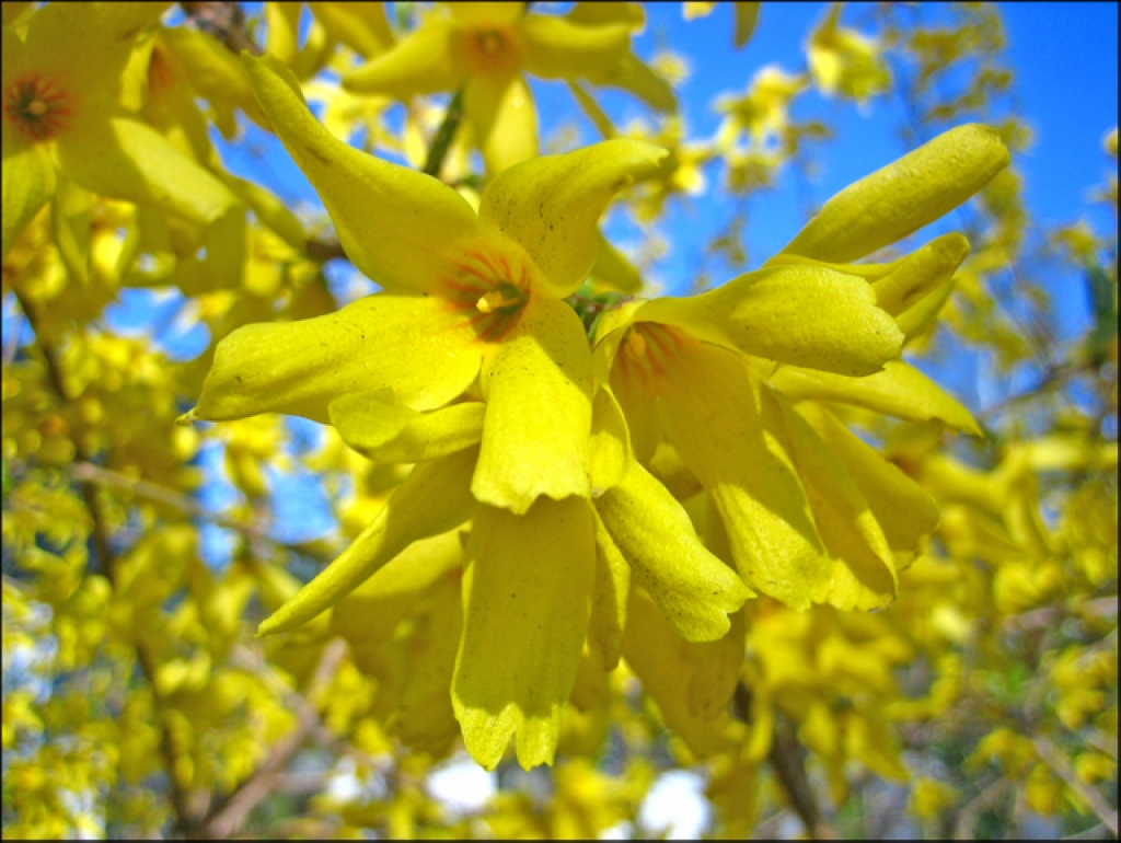 Fotoattēlam ilustratīva nozīme.
Autors: www.photobucket.com