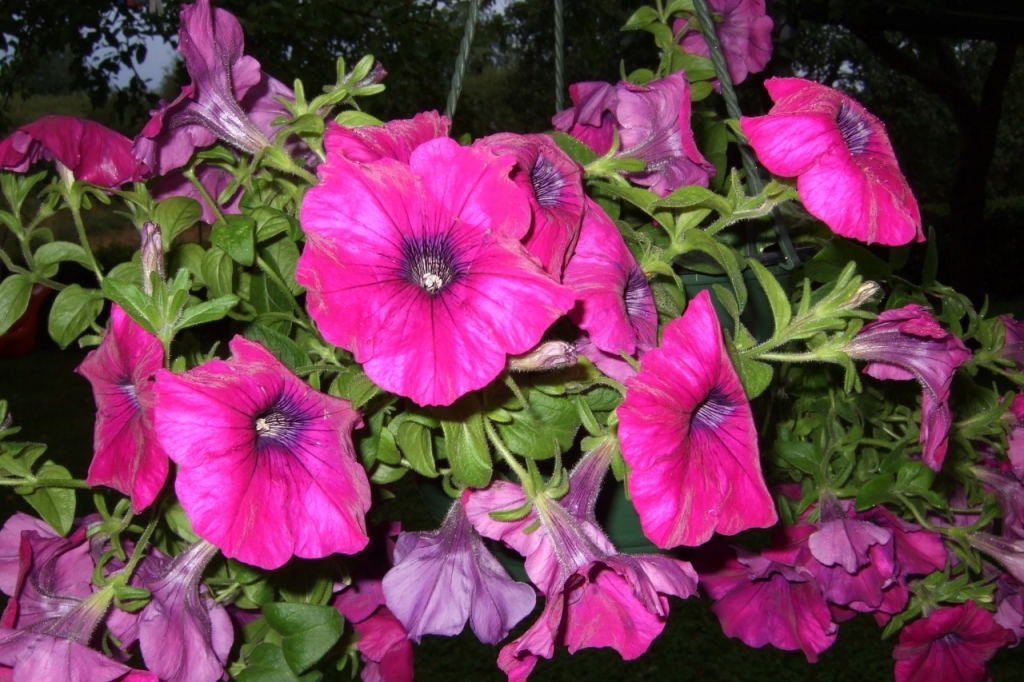 Fotoattēlam ilustratīva nozīme.
Autors: www.poga.lv