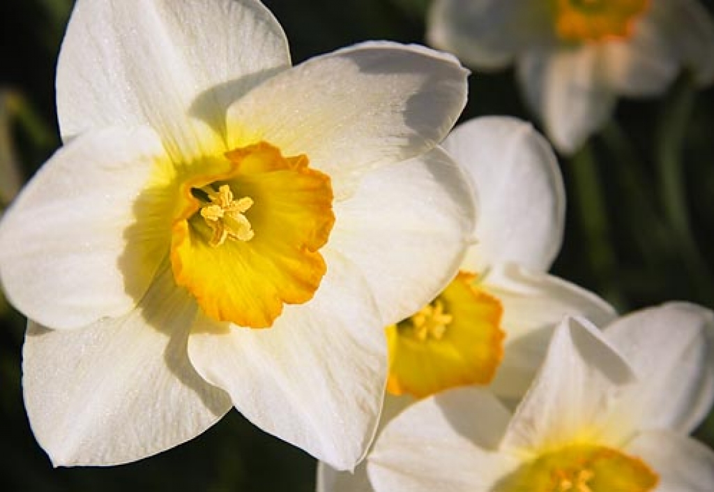 Fotoattēlam ilustratīva nozīme.
Autors: www.krizdabz.id.lv