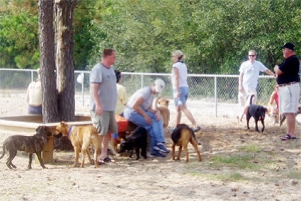 Fotoattēlam ilustratīva nozīme.
Autors: www.iecava.com