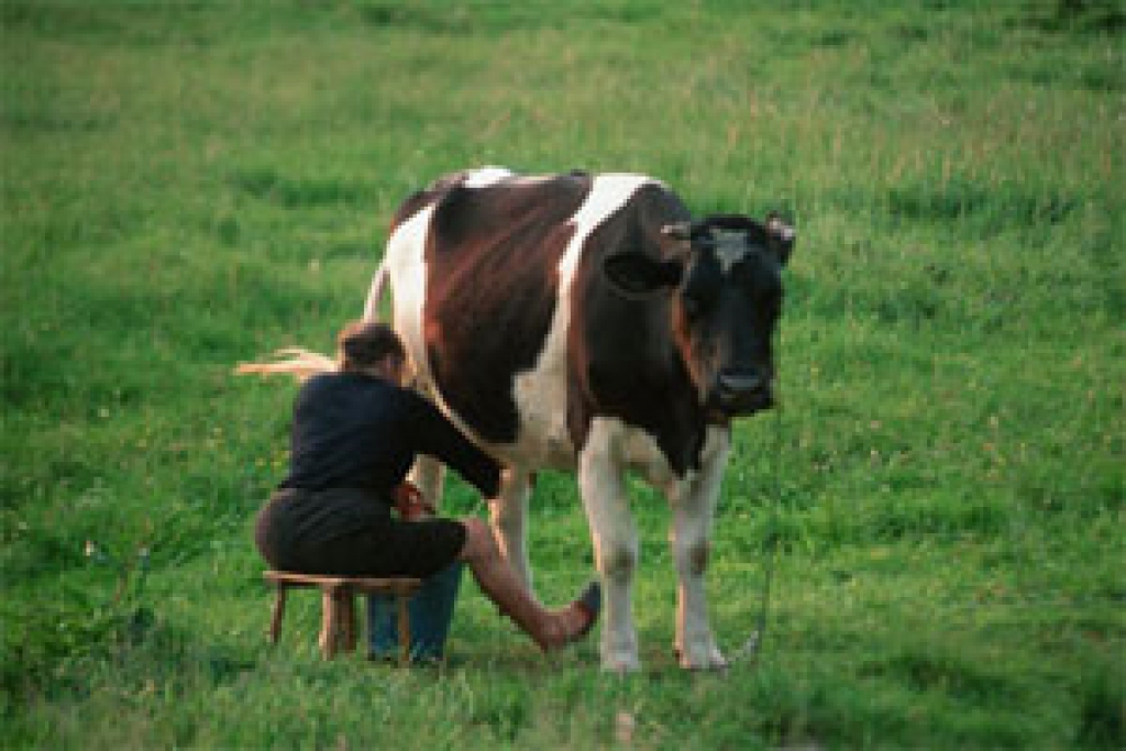 Fotoattēlam ilustratīva nozīme.
Autors: www.tvnet.lv