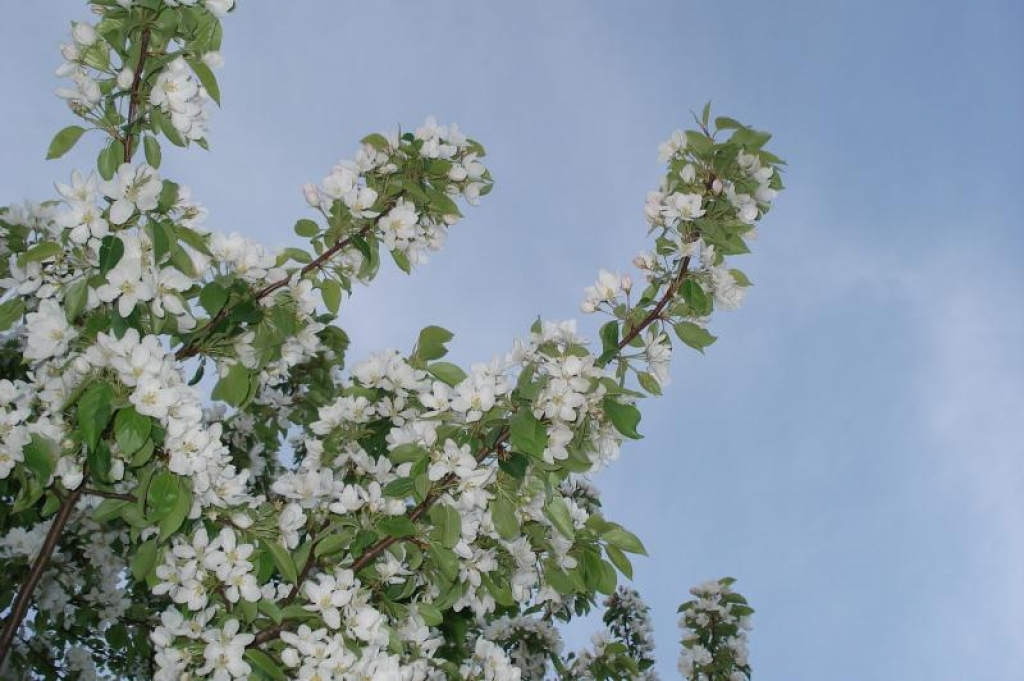 Fotoattēlam ilustratīva nozīme.
Autors: www.poga.lv