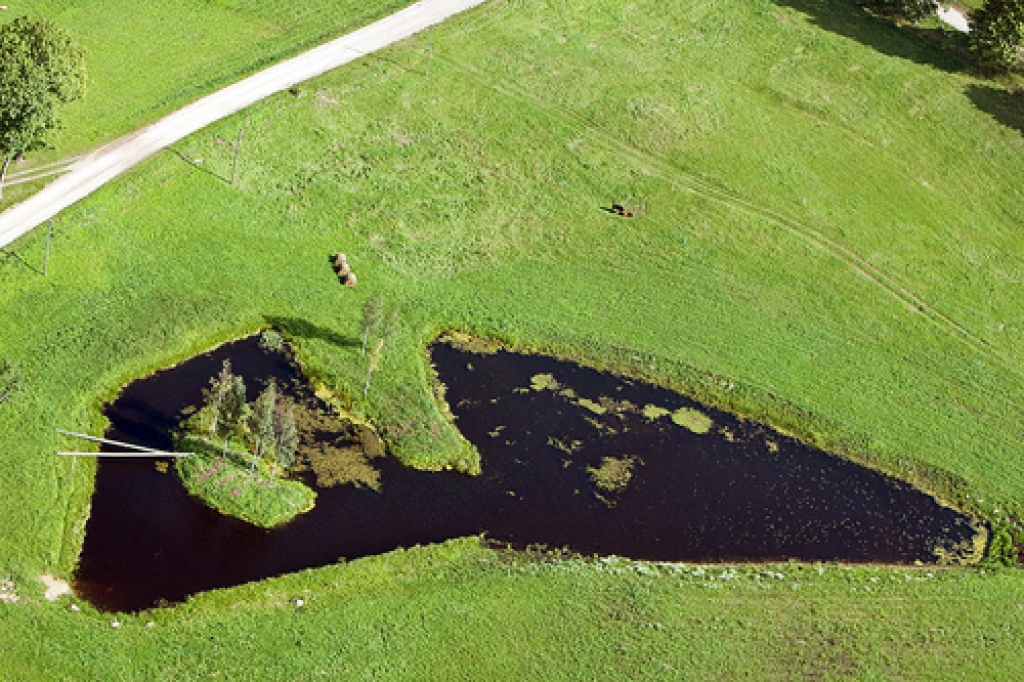 Autors: Publicitātes foto.