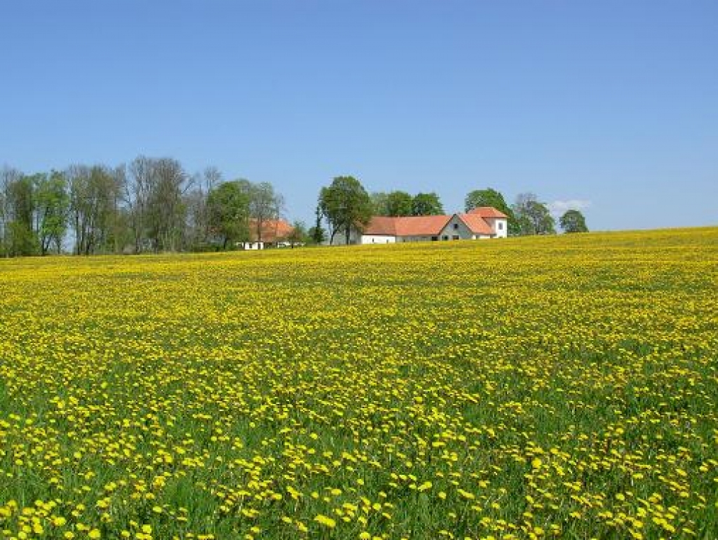 Attēlam ir ilustratīva nozīme.
Autors: dravnieks.blogs.lv