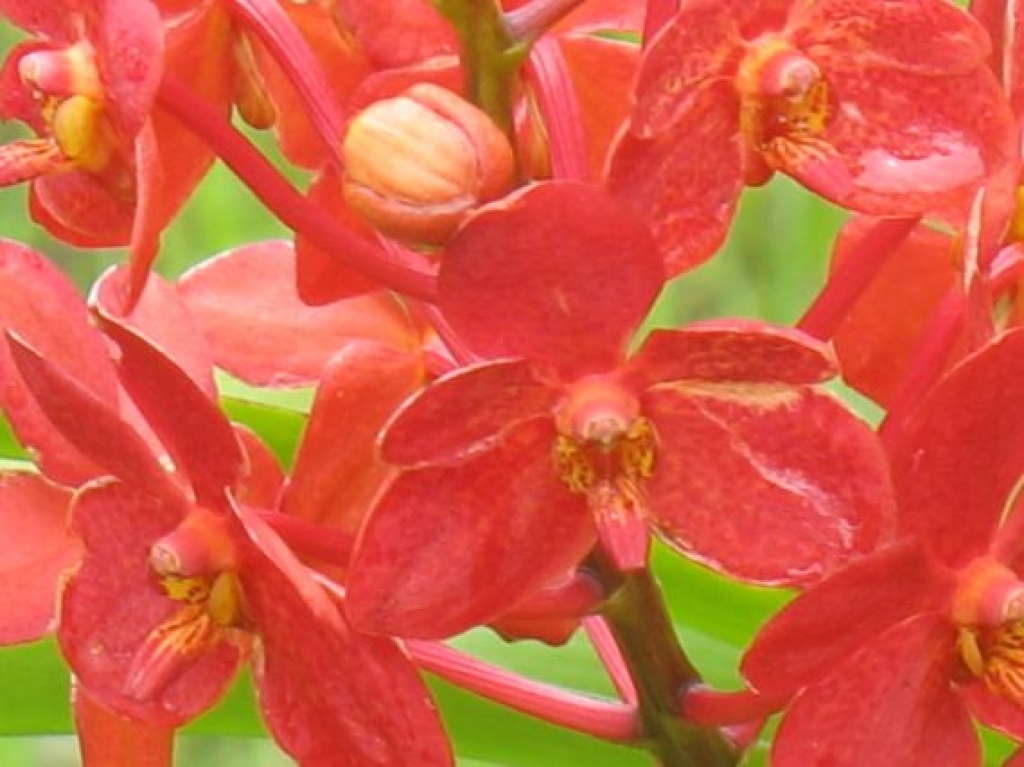 Autors: Sandra Danosa