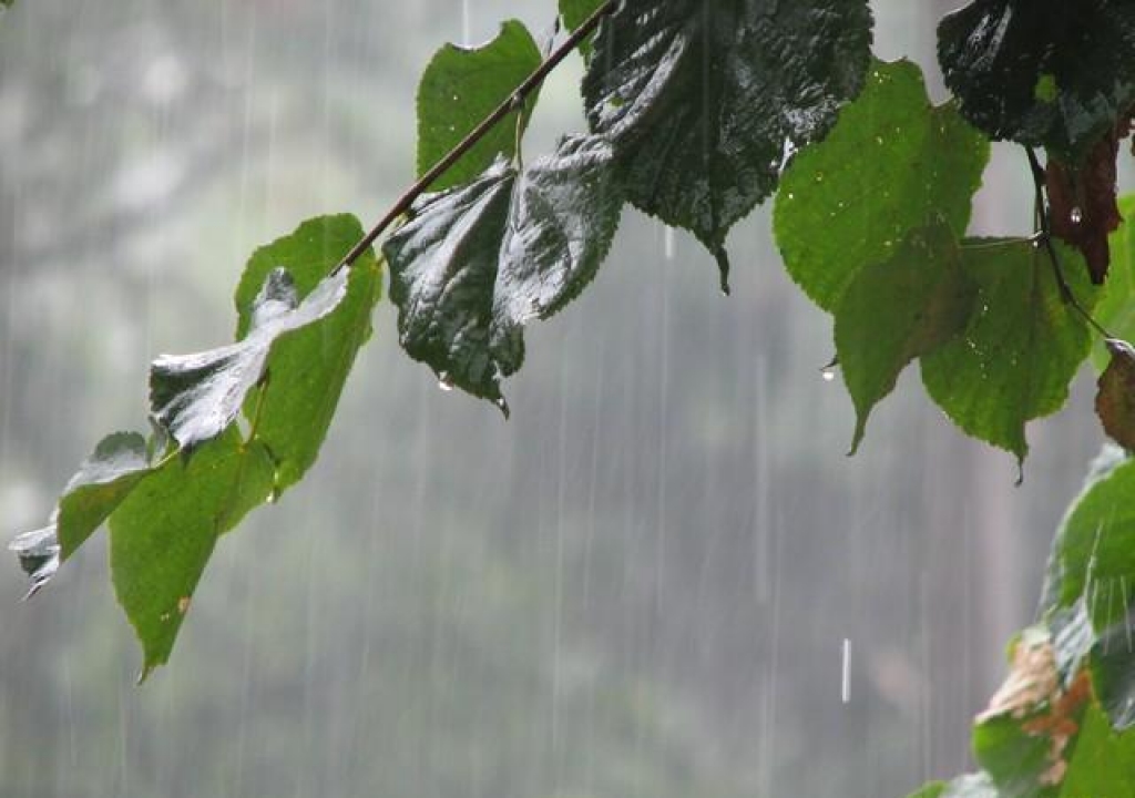 Fotoattēlam ilustratīva nozīme.
Autors: www.snukis.lv