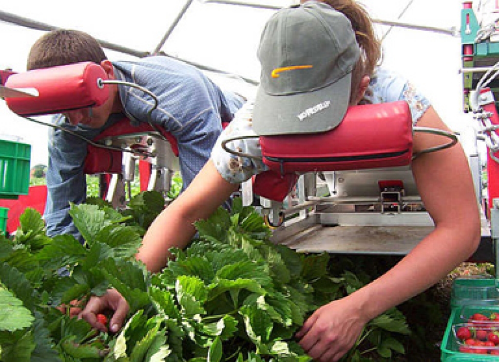 Fotoattēlam ilustratīva nozīme.
Autors: www.2.la.lv