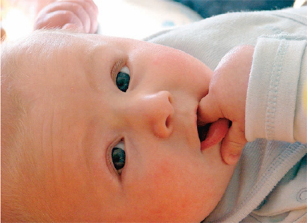 Attēlam ir ilustratīva nozīme.
Autors: www2.la.lv