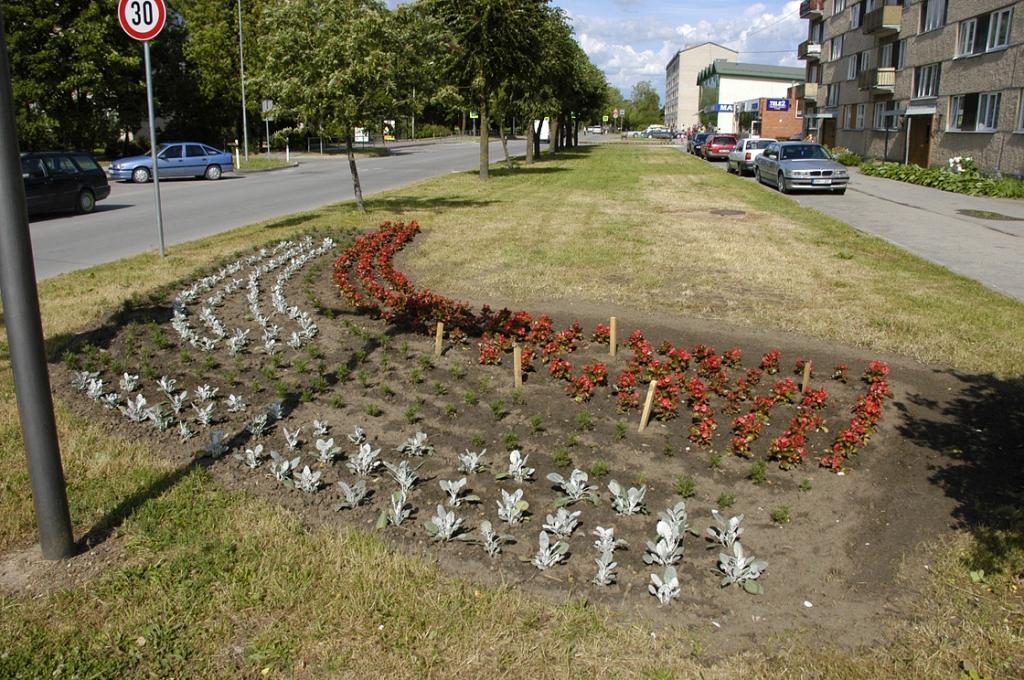 Bauskā apstādījumu kļuvis nedaudz vairāk. Jaunas puķu dobes izveidotas Dārza ielā.
Autors: Ivars Bogdanovs
