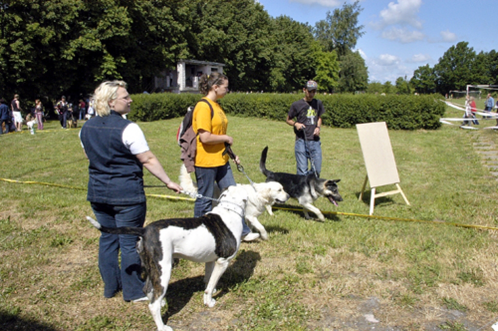 Sportiskākie dalībnieki pirms šķēršļu pārvarēšanas sacensībām.
Autors: Ivars Bogdanovs