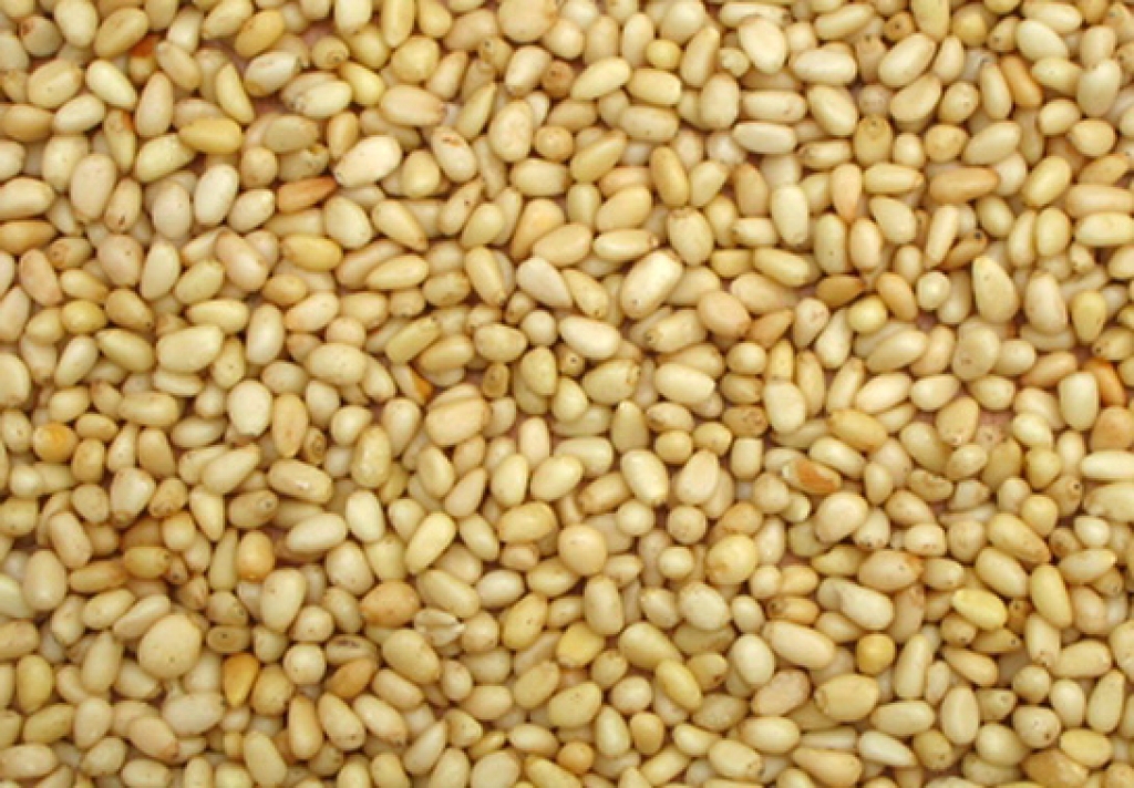 Autors: www.pareiz-uzturs.com